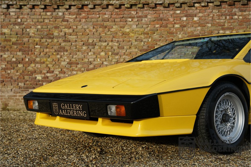 Alon lotus esprit