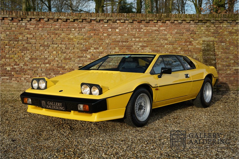 Alon lotus esprit