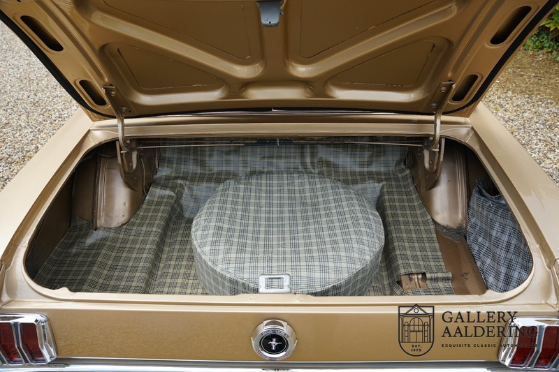 Ford Mustang Manual transmission, stunning colours | Gallery Aaldering