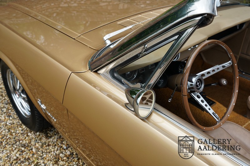 Ford Mustang Manual transmission, stunning colours | Gallery Aaldering