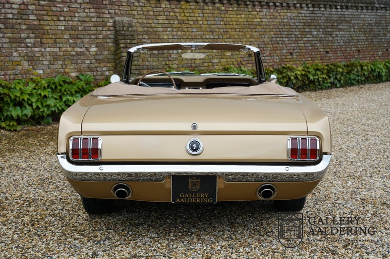 Ford Mustang Manual transmission, stunning colours | Gallery Aaldering