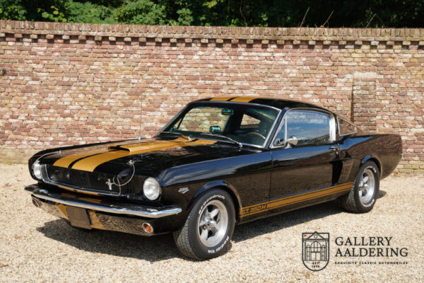 Ford Mustang Fastback Shelby GT 350H 1965