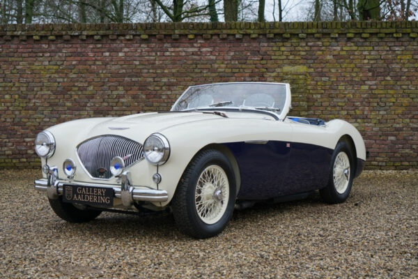Austin Healey 100/4 BN1 1955