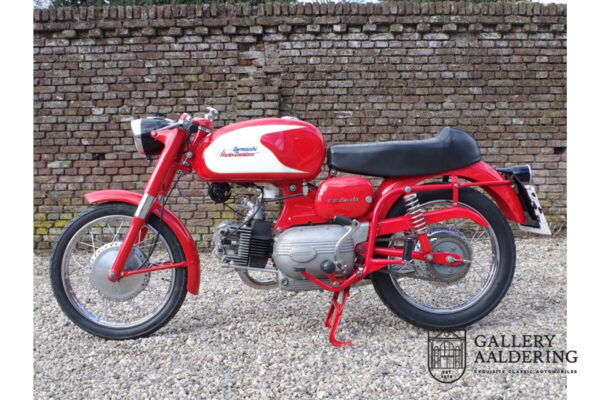 Aermacchi – Harley Davidson Ala Verde 250 1962