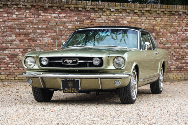 Ford Mustang GT Código A “El Mustang holandés más premiado” 1966
