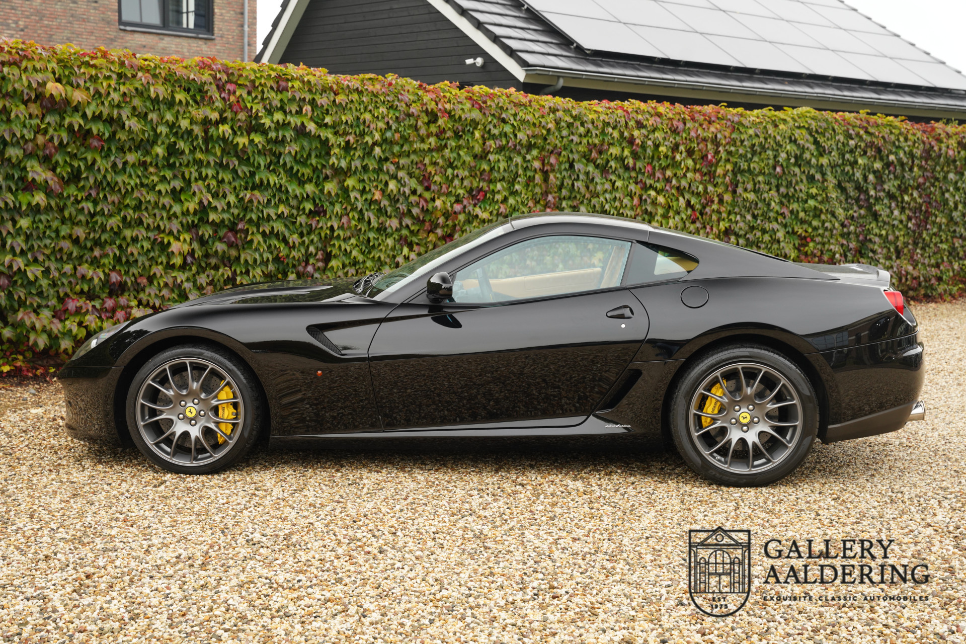 Black Velvet Ferrari 599